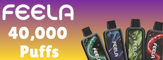 FEELA NIC 40K