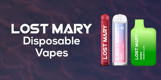 Exploring the Lost Mary Disposable Vapes