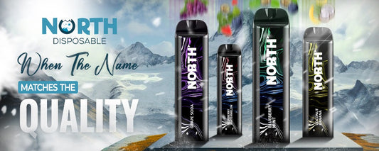 North Disposable Vapes