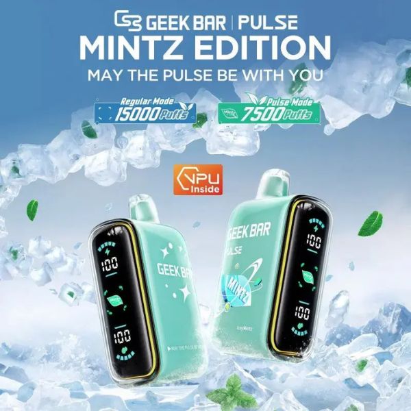 Best Flavors Geek Bar Pulse Mintz Edition 15,000 Puffs