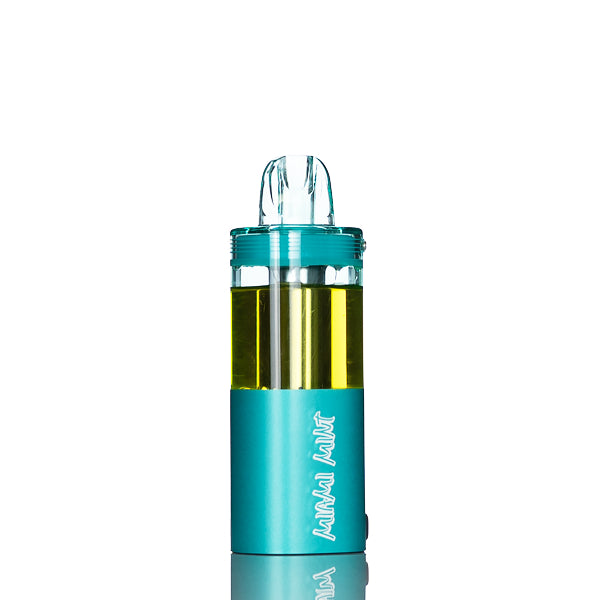 INTO 50,000 Puffs Disposable Pod (Foger Switch Pro Compatible) Miami Mint