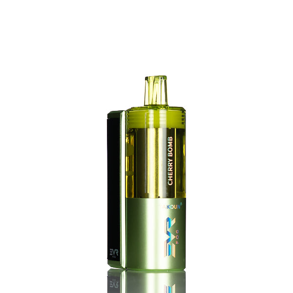 EVRFOG 100K Puffs Refillable Disposable Kit
