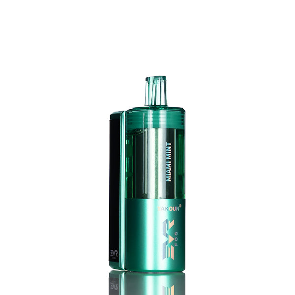 EVRFOG 100K Puffs Refillable Disposable Kit