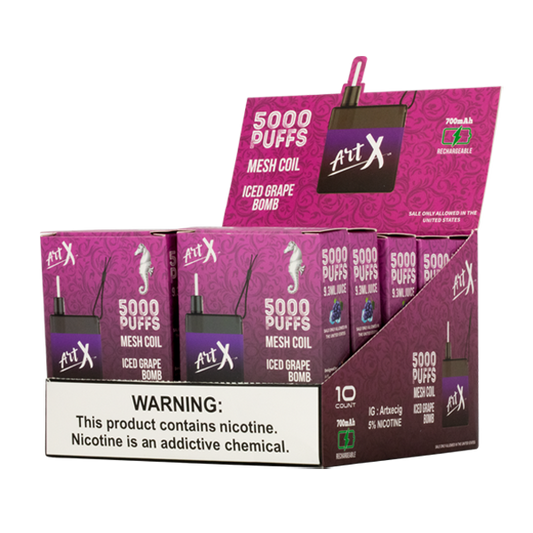 Art X Disposable Vape 5000 Puffs 10-Pack Best Flavor Iced Grape Bomb