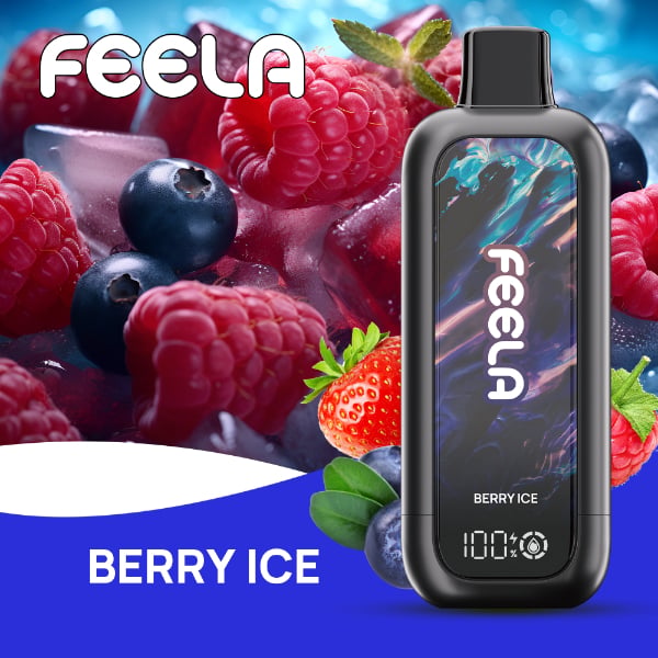 FEELA NIC 40,000 Puffs Disposable