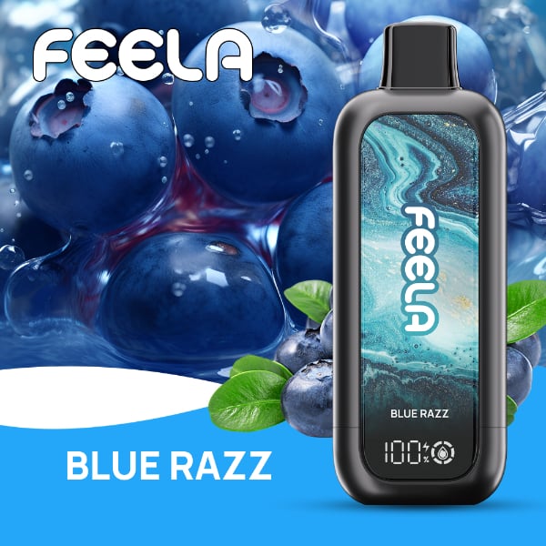 FEELA NIC 40,000 Puffs Disposable