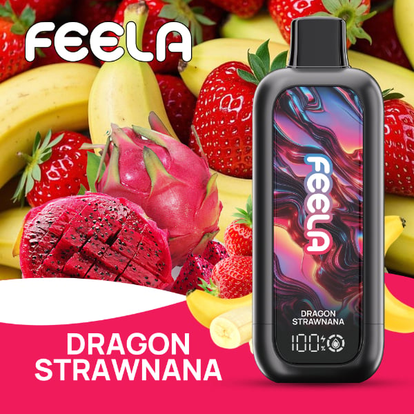 FEELA NIC 40,000 Puffs Disposable