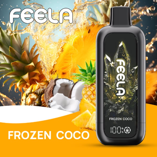 FEELA NIC 40,000 Puffs Disposable