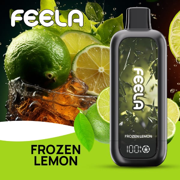 FEELA NIC 40,000 Puffs Disposable