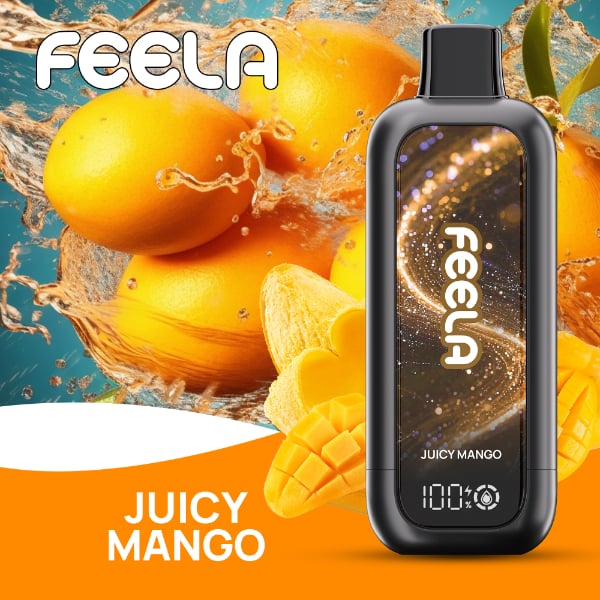 FEELA NIC 40,000 Puffs Disposable