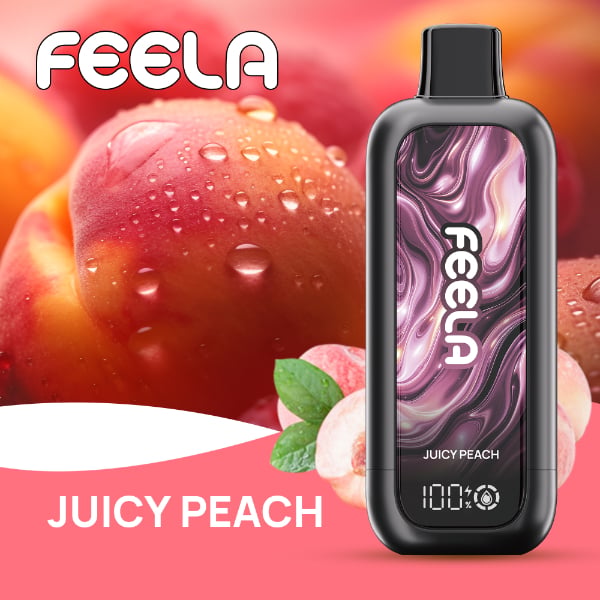 FEELA NIC 40,000 Puffs Disposable