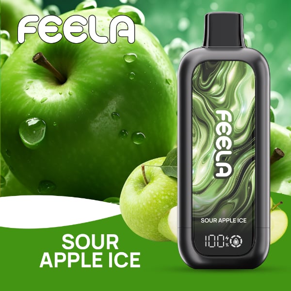FEELA NIC 40,000 Puffs Disposable
