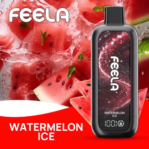 FEELA NIC 40,000 Puffs Disposable