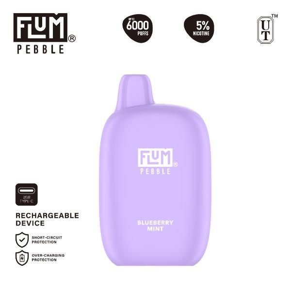 Flum Pebble 6000 Puffs Rechargeable Disposable - Blueberry Mint