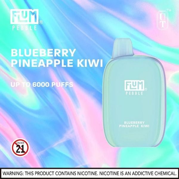 Flum Pebble 6000 Puffs Rechargeable Disposable - Blueberry Pineapple Kiwi