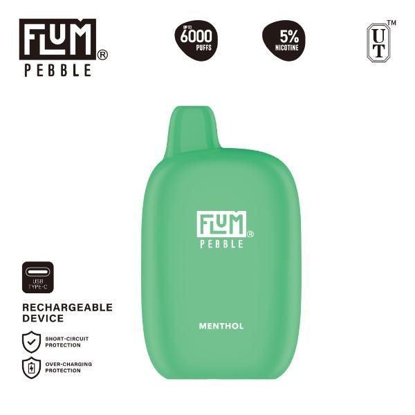 Flum Pebble 6000 Puffs Rechargeable Disposable - Menthol