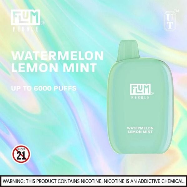 Flum Pebble 6000 Puffs Rechargeable Disposable - Watermelon Lemon Mint