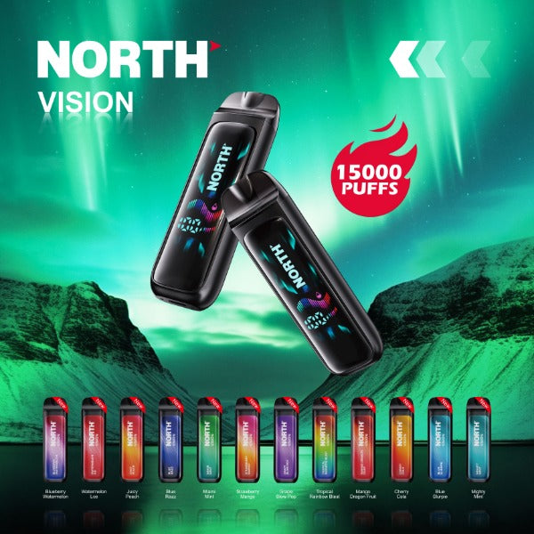 Best Deal North Vision 15000 Puffs Rechargeable Disposable Vape 15mL 